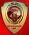 Sriwijaya FC